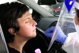 A woman in a car receives a COVID test