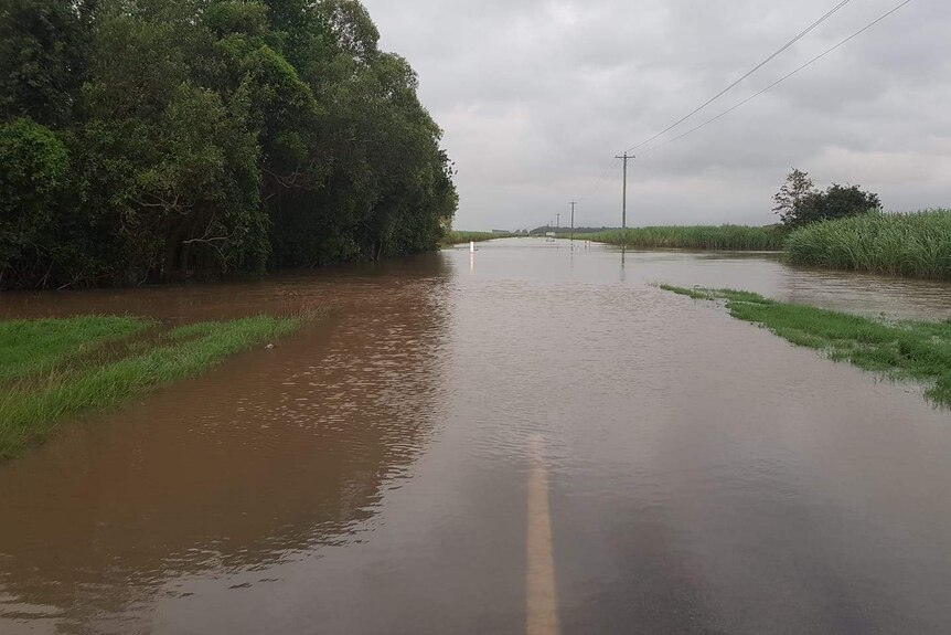 A flooded road at Halifax, near Ingham in north Queensland where the rising Herbert River cut off communities on March 28, 2018
