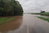 A flooded road at Halifax, near Ingham in north Queensland where the rising Herbert River cut off communities on March 28, 2018