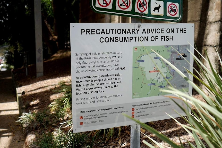 Sign at Bremer River in Ipswich cautioning consumption of fish due to elevated concentrations of PFAS.