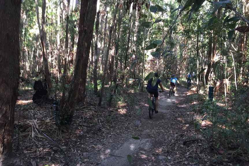 Tree-lined mountain bike trail with riders.