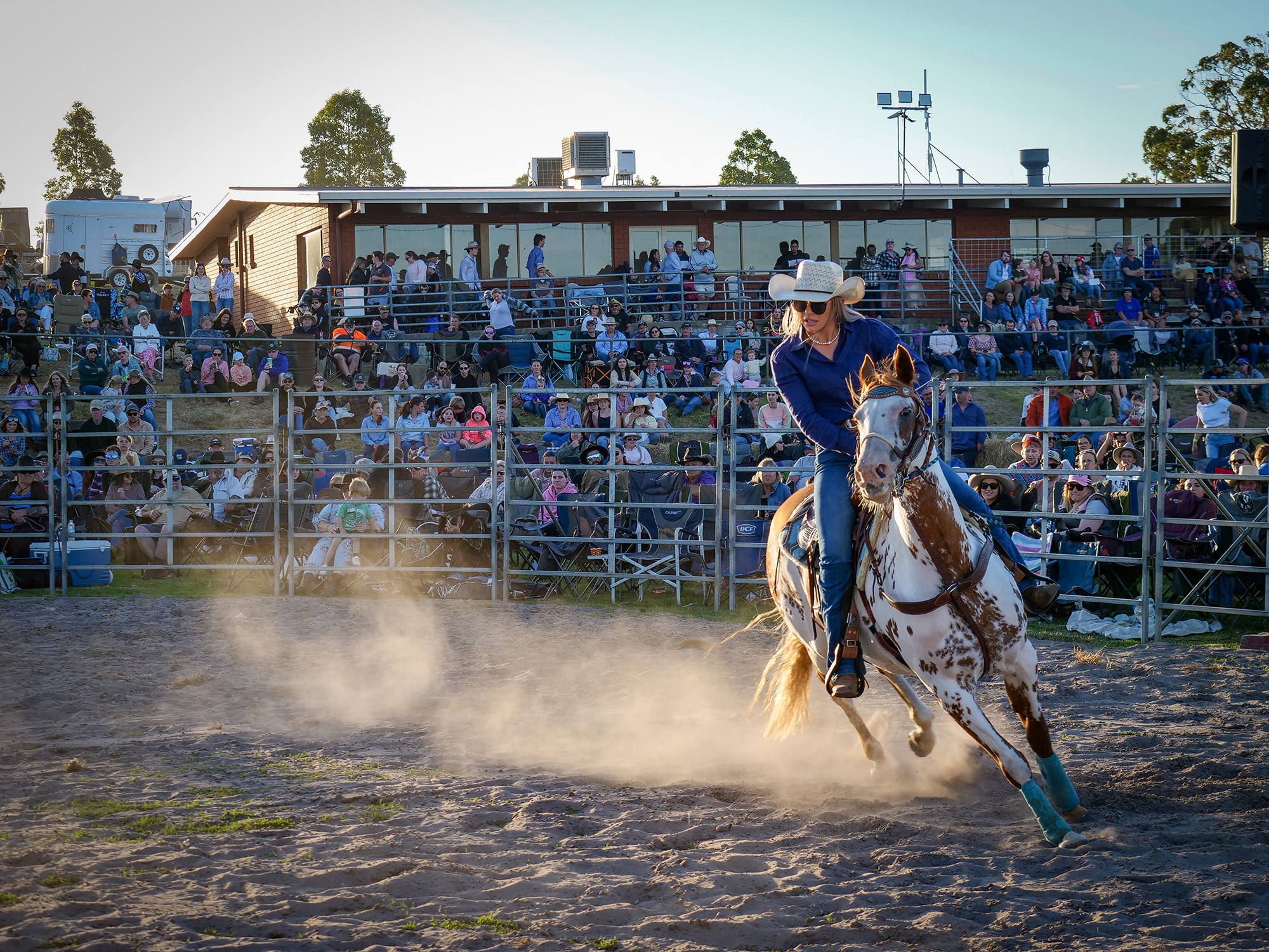 A paint horse in an arena