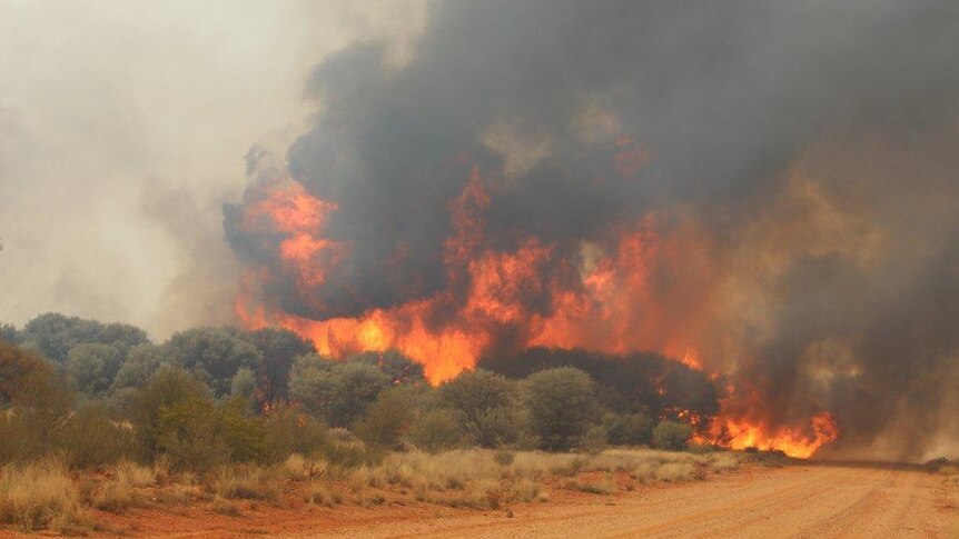 Grassfires burn around Thargomindah in Qld's south-west in October 2012.