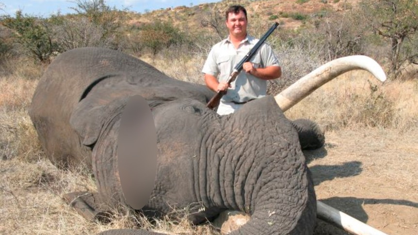 Photos from Jewell Crossberg's Facebook posing with a dead elephant in South Africa.