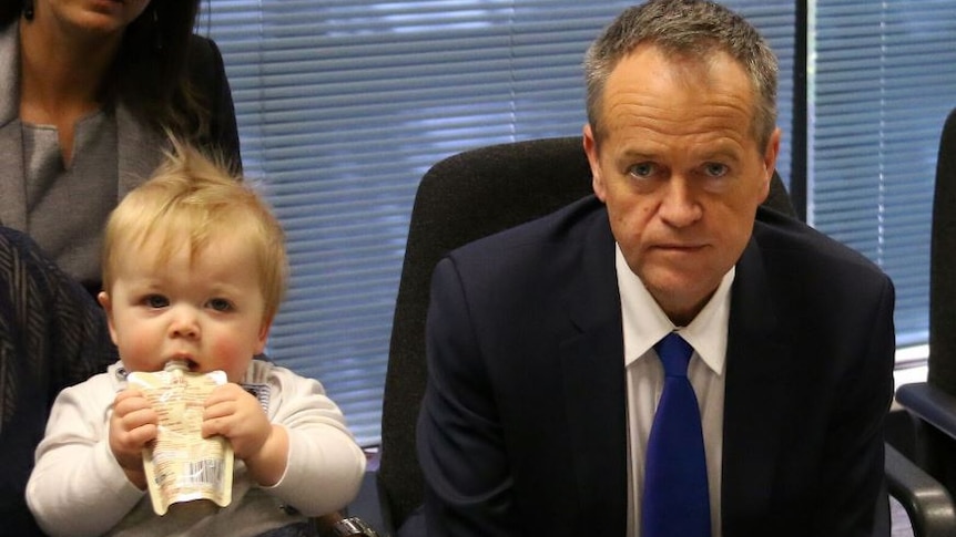 Baby sips its drink next to Bill Shorten, looking straight on at a Marriage equality round table discussion