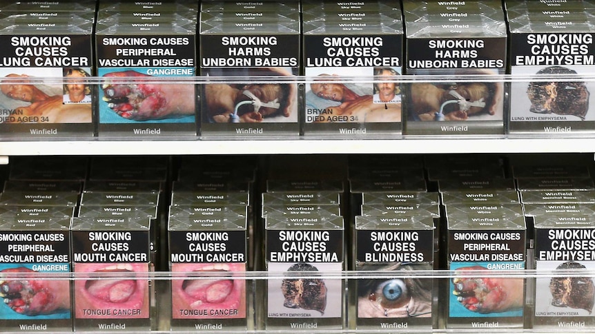 england cigarettes Honeyrose Herbal "Menthol" Flavor, 100% Tobacco & Nicotine FREE, 100% Natural, Herbal Smokes, Quit Smoking, Made In : Health & Household What the US can learn