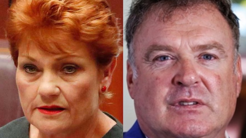 Senator Hanson revealed the relationship with Senator Culleton was close to breaking.