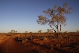 Generic photo of desert landscape near Bedourie in far south-west Queensland