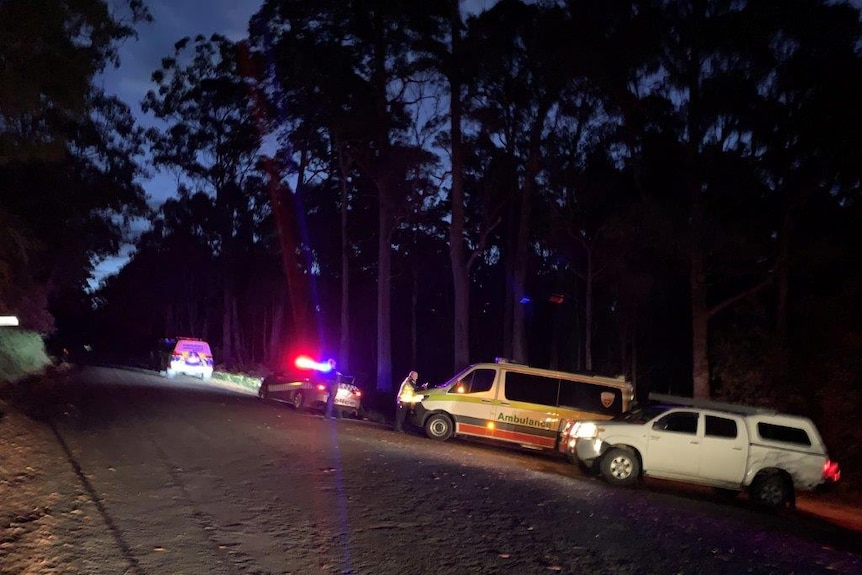 Police cars on the side of a country road at night