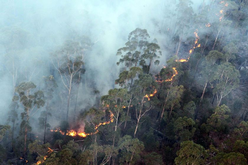 Rain Douses Fire Threat In Victoria - ABC News