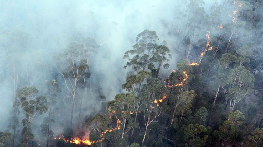 A bushfire front burns