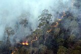 A bushfire front burns