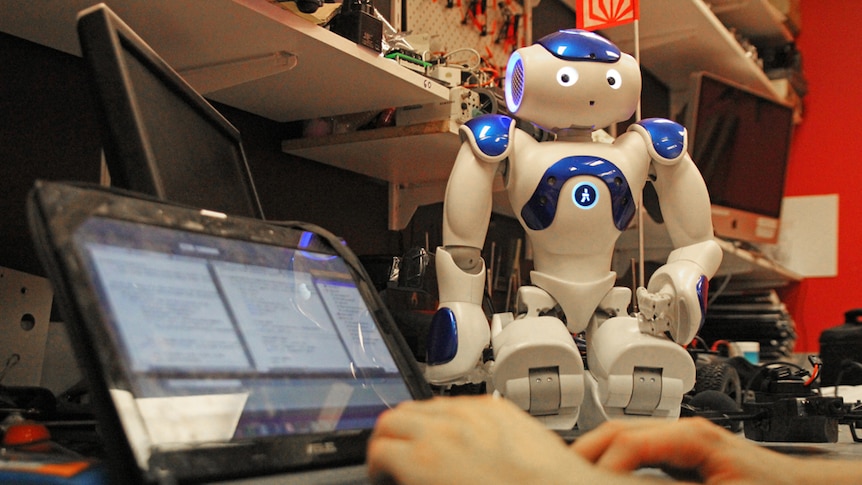 A Nao robot watches a student typing on a laptop