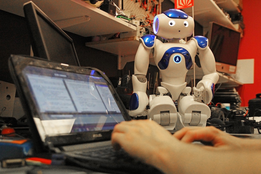 A Nao robot watches a student typing on a laptop.