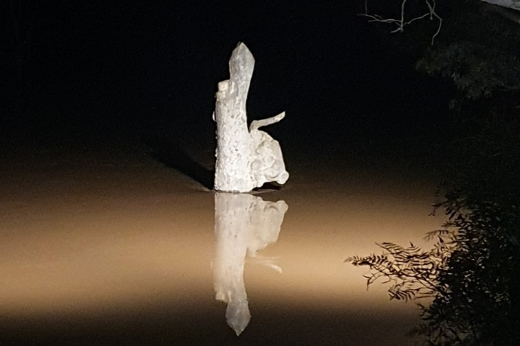 A White tree stump in water at night. The water is near the level of a bulge on the tree