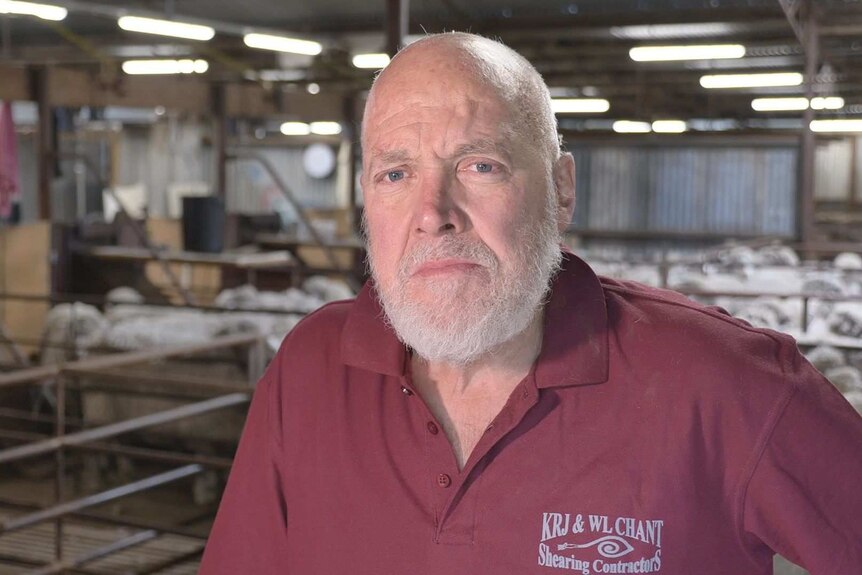 A portrait shot of an older fellow in a woolshed, with pens of sheep in the background.