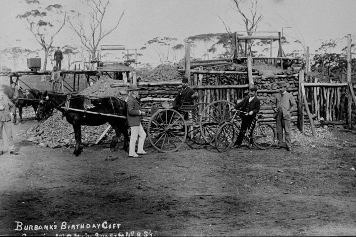 An historic photograph of gold miners at Burbanks in 1895.  