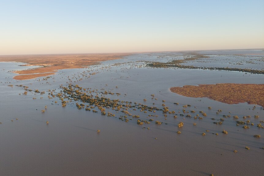 A aerial photo of flood water spreading out across a large property in Queensland