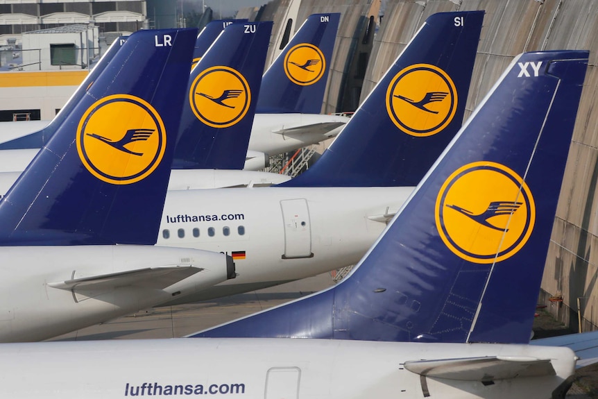 The tails of several parked Lufthansa planes are seen at Frankfurt airport.