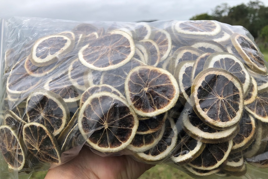 Dehydrated sliced lime in a clear plastic bag.