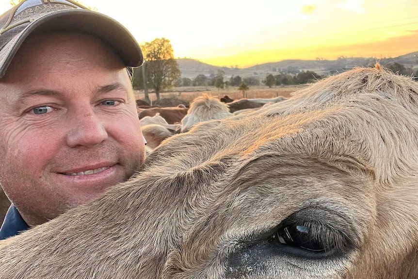 A man poses next to a cow.