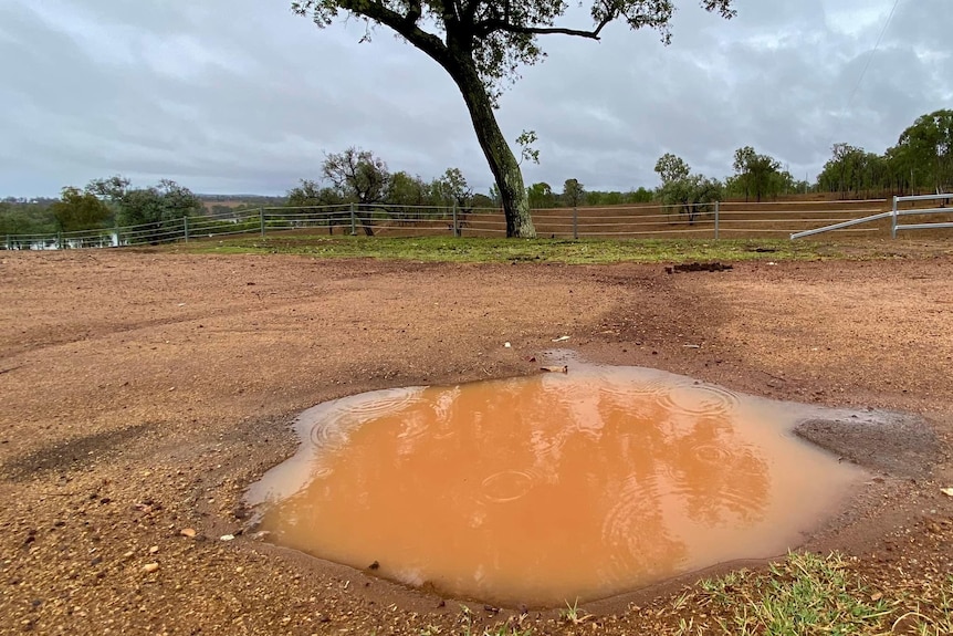 A puddle in red dirt against a gloomy sky 