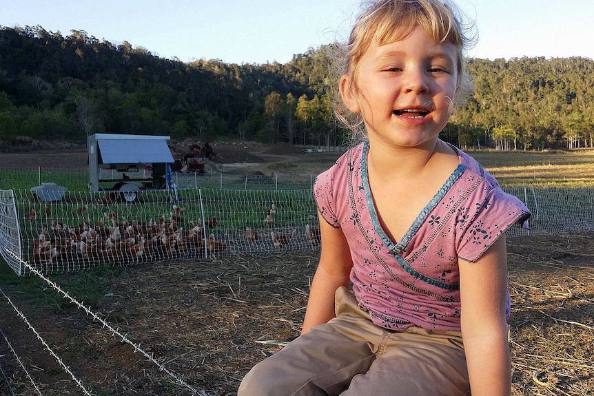 Stella Streeter sits on a post above the chickens in the paddock.