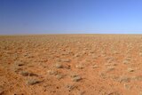 The Simpson Desert