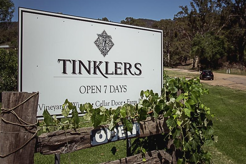 A sign saying 'Tinkers' above an old timber fence covered in a grape vine, and a