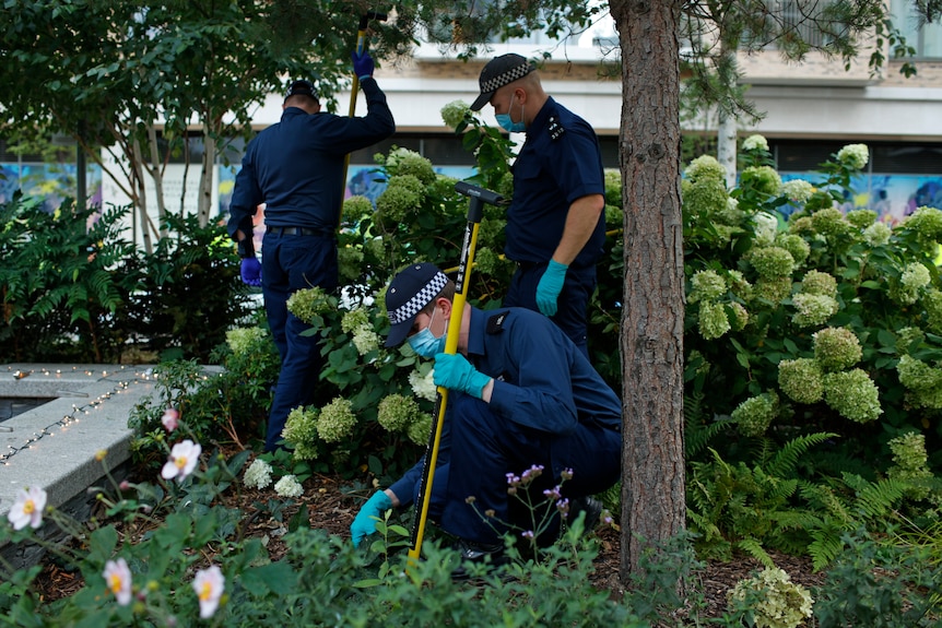 police in blue uniforms and gloves search through green shrubs and bushes 