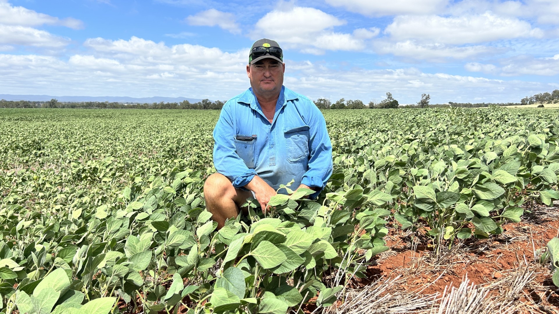 What's in 'Australian Made' products? Not necessarily Australian produce