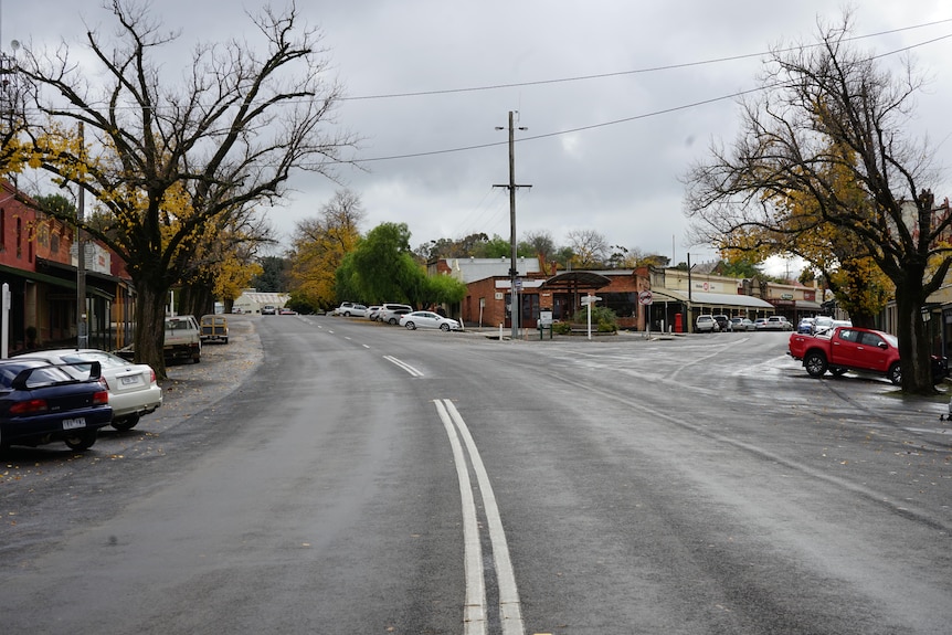 Two roads arrive at a fork in a tiny town.