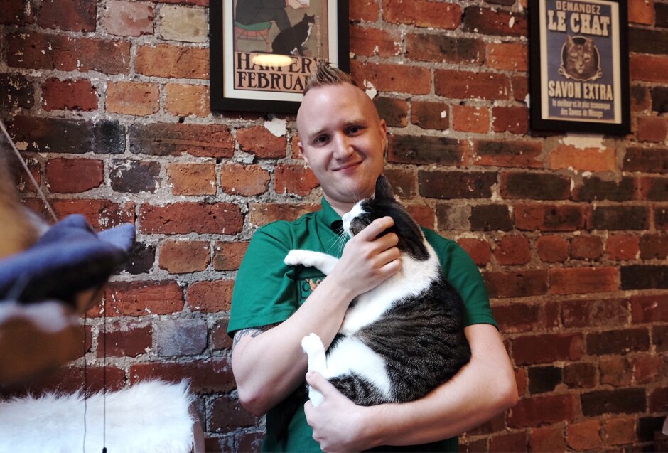 Myles Loughran, co-owner of Cat Cafe Melbourne.
