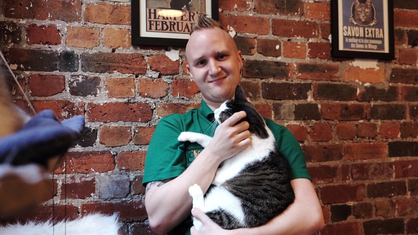 Myles Loughran, co-owner of Cat Cafe Melbourne.