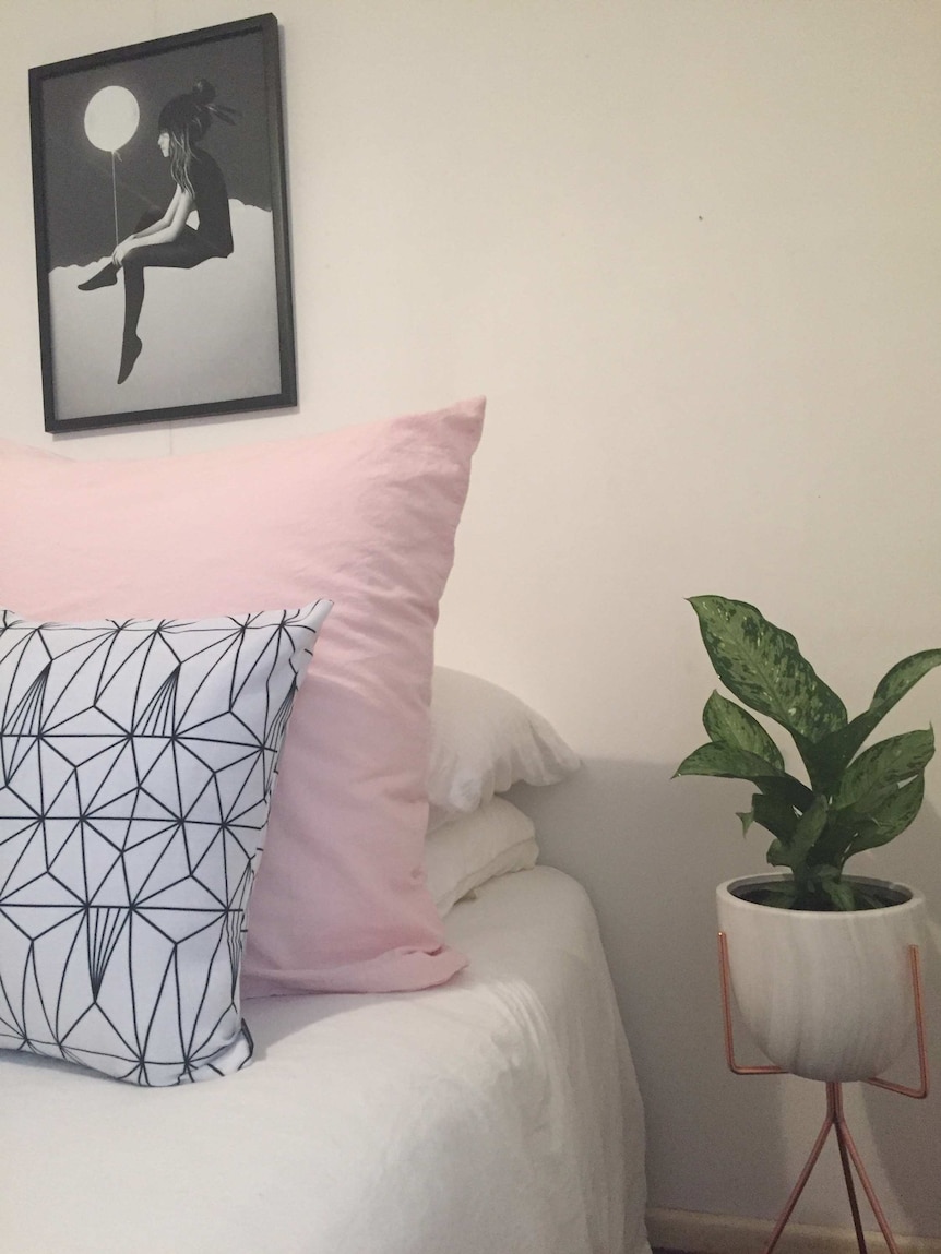 Houseplant in a bedroom