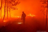 Firefighter fights a wildfire in south-western France