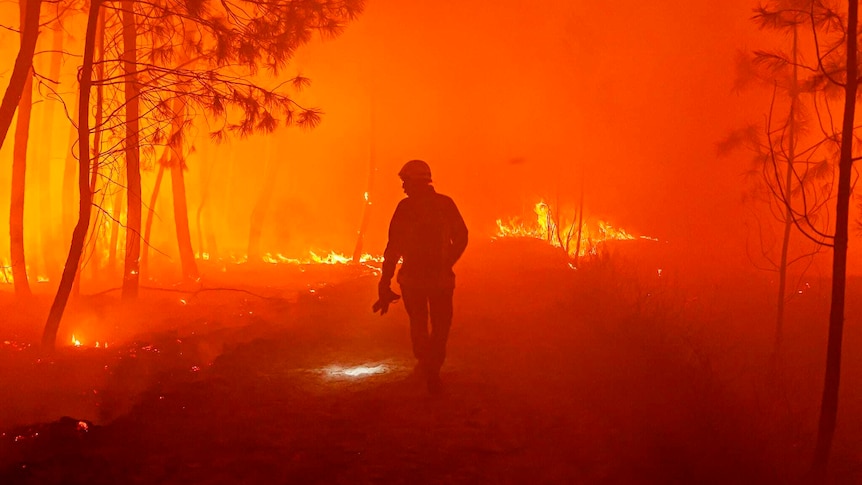 Firefighter fights a wildfire in south-western France