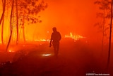 Firefighter fights a wildfire in south-western France