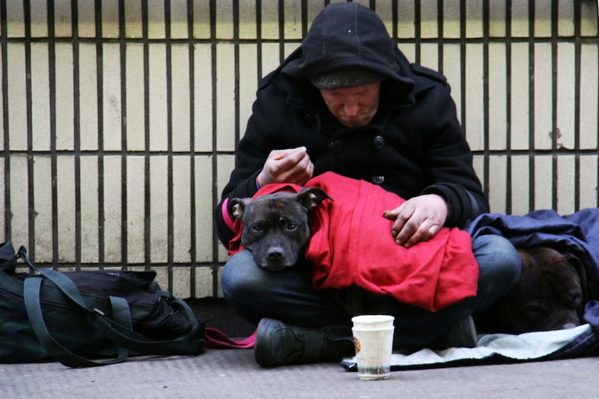 A man begging with his dog.