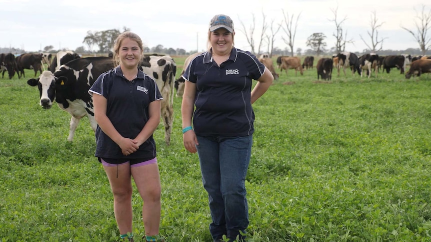 Two schoolgirls stand in a pasture in front of many cows eating grass.