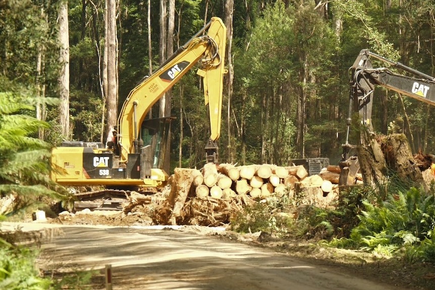 Machinery is parked around a pile of felled logs in a forest