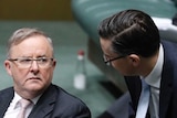 Mark Butler talks with Anthony Albanese in the House of Representatives