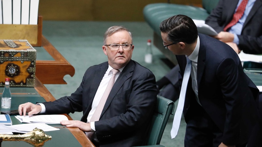 Mark Butler talks with Anthony Albanese in the House of Representatives