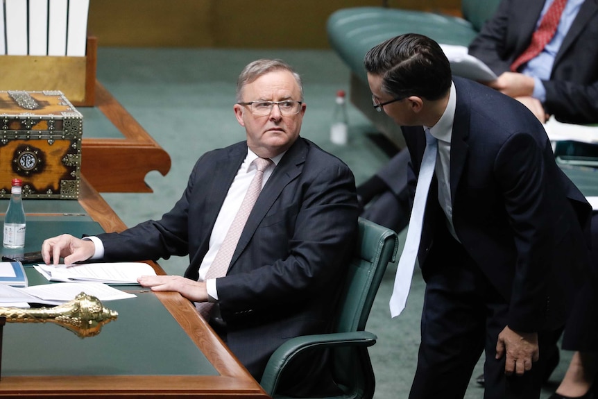 Mark Butler talks with Anthony Albanese in the House of Representatives