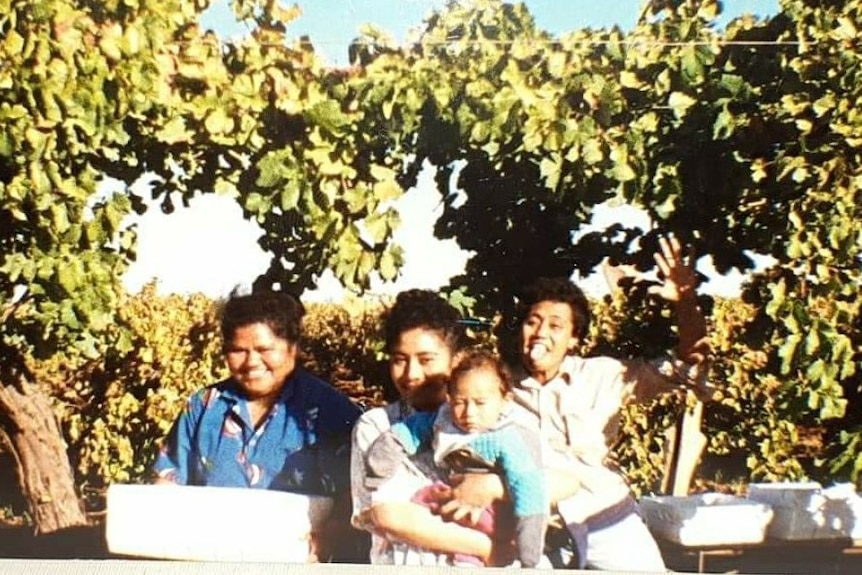 An old retro photo shows a family with kids posing in front of vines at a vineyard, holding boxes of grapes.