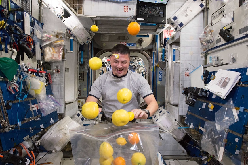 A NASA astronaut laughs as he tries to manage a bag of lemons floating around the International Space Station