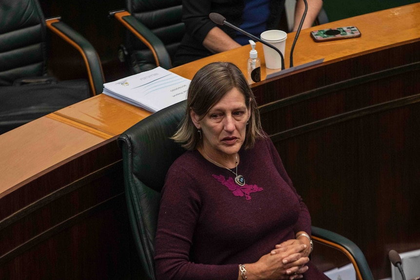Tasmanian Greens leader Cassy O'Connor in parliament