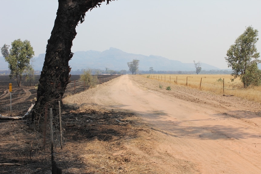 Burnt paddock at Laharum