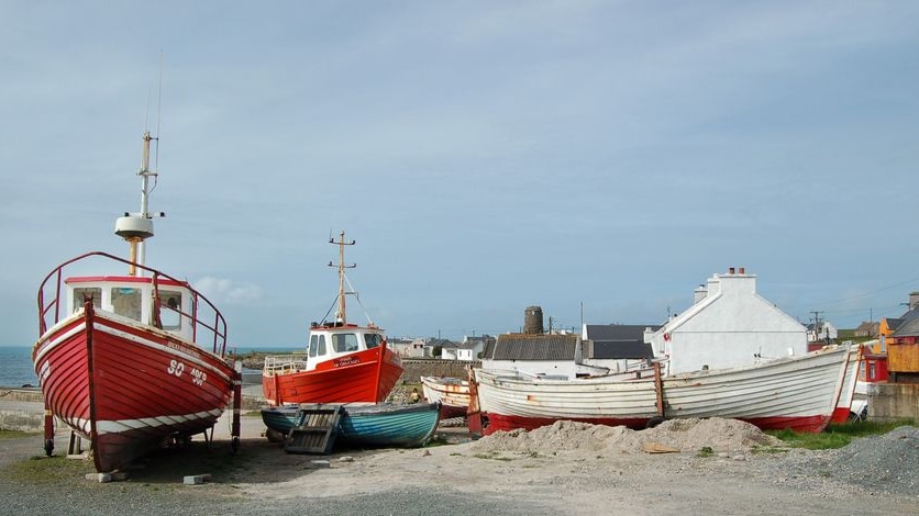 Fishing boats