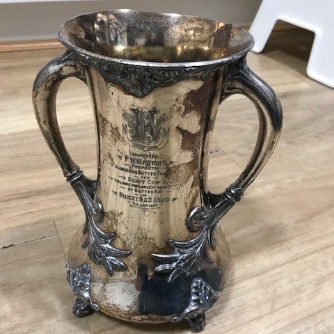 silver trophy with some wear and tear